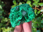 Natural Silky Malachite Specimens x 6 From Kasompe, Congo - Toprock Gemstones and Minerals 
