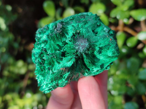 Natural Silky Malachite Specimens x 6 From Kasompe, Congo - Toprock Gemstones and Minerals 