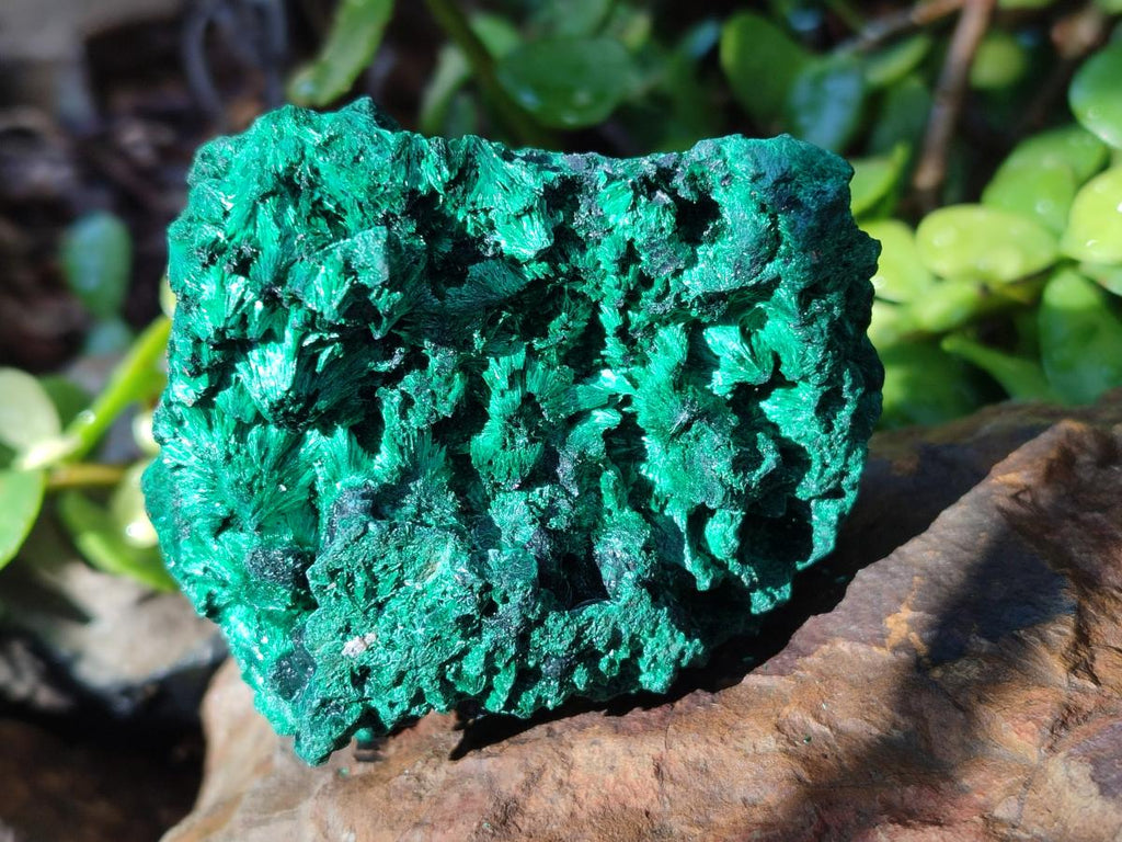 Natural Silky Malachite Specimens x 6 From Kasompe, Congo - Toprock Gemstones and Minerals 
