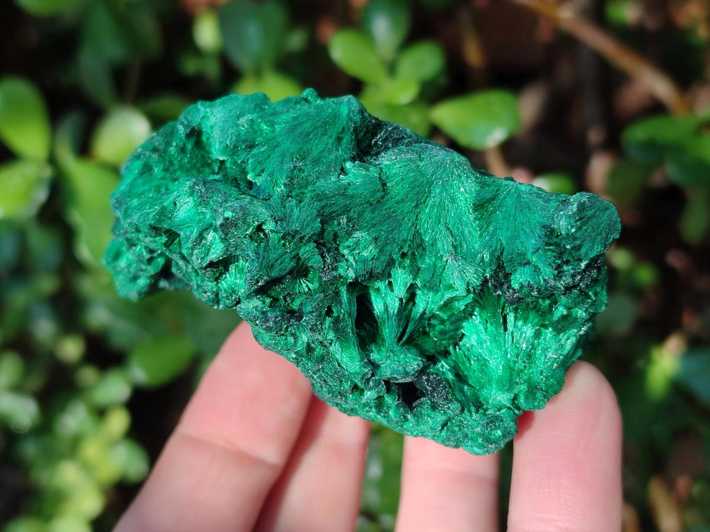 Natural Silky Malachite Specimens x 6 From Kasompe, Congo - Toprock Gemstones and Minerals 