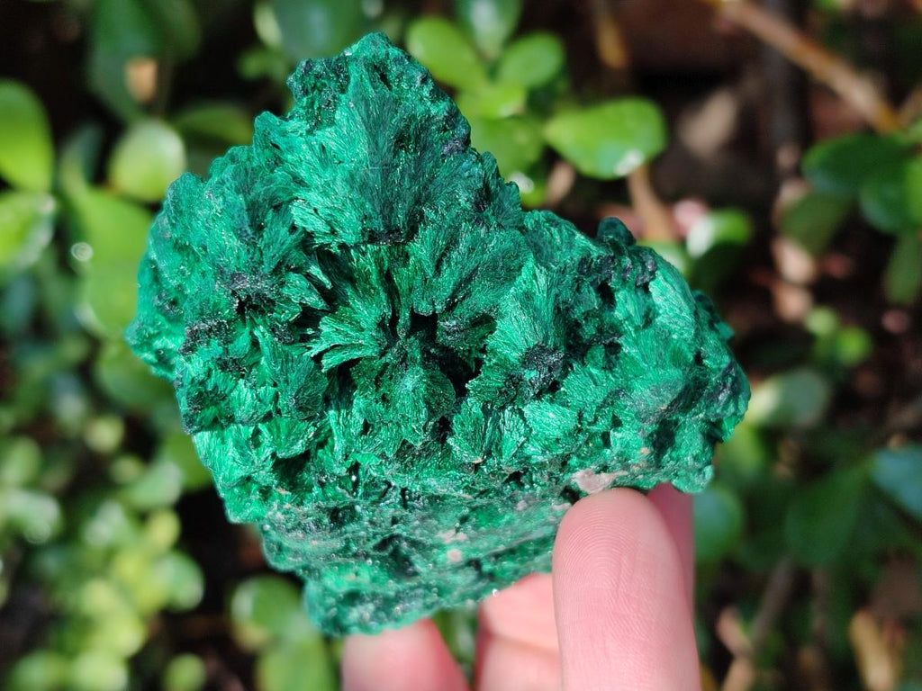 Natural Silky Malachite Specimens x 6 From Kasompe, Congo - Toprock Gemstones and Minerals 