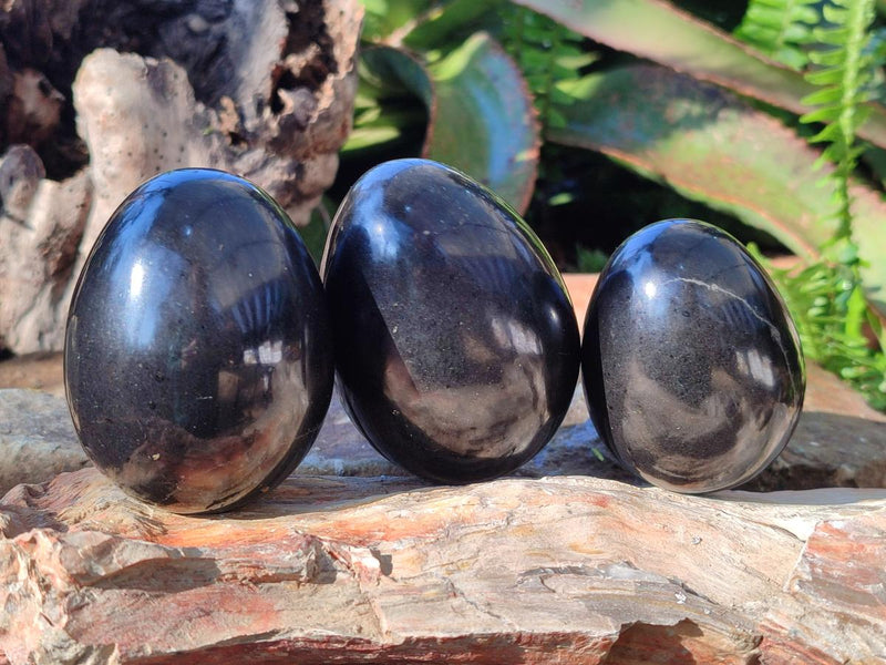 Polished Black Basalt Eggs x 6 From Madagascar - Toprock Gemstones and Minerals 