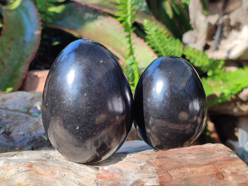 Polished Black Basalt Eggs x 6 From Madagascar - Toprock Gemstones and Minerals 
