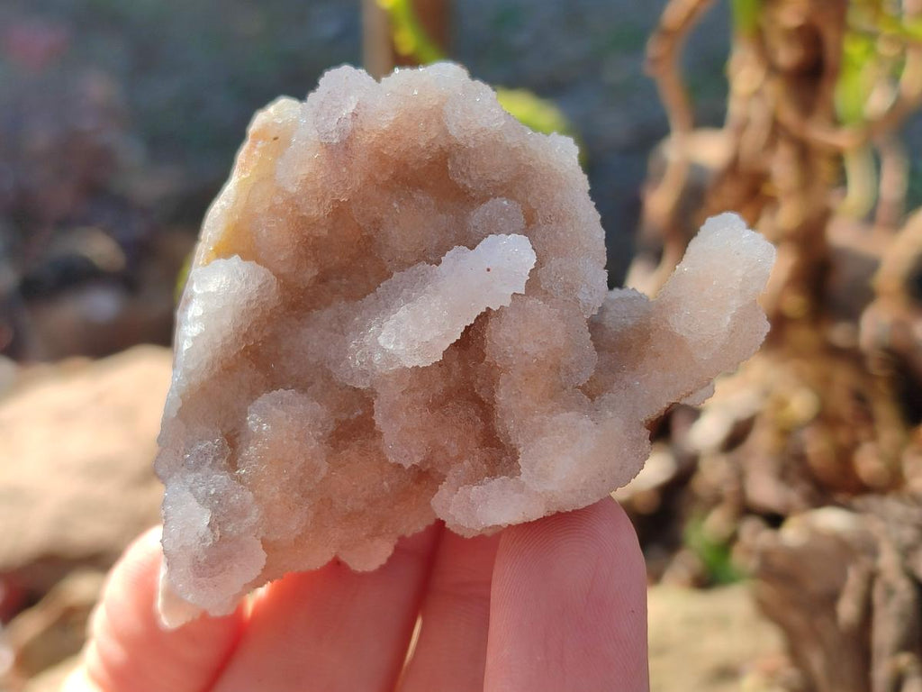 Natural Drusy Fairy Spirit Quartz Clusters x 12 From Boekenhouthoek, South Africa - Toprock Gemstones and Minerals 