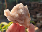Natural Drusy Fairy Spirit Quartz Clusters x 12 From Boekenhouthoek, South Africa - Toprock Gemstones and Minerals 