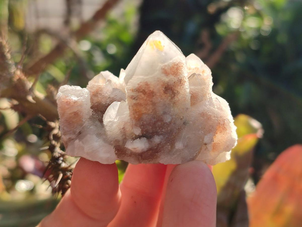 Natural Drusy Fairy Spirit Quartz Clusters x 12 From Boekenhouthoek, South Africa - Toprock Gemstones and Minerals 