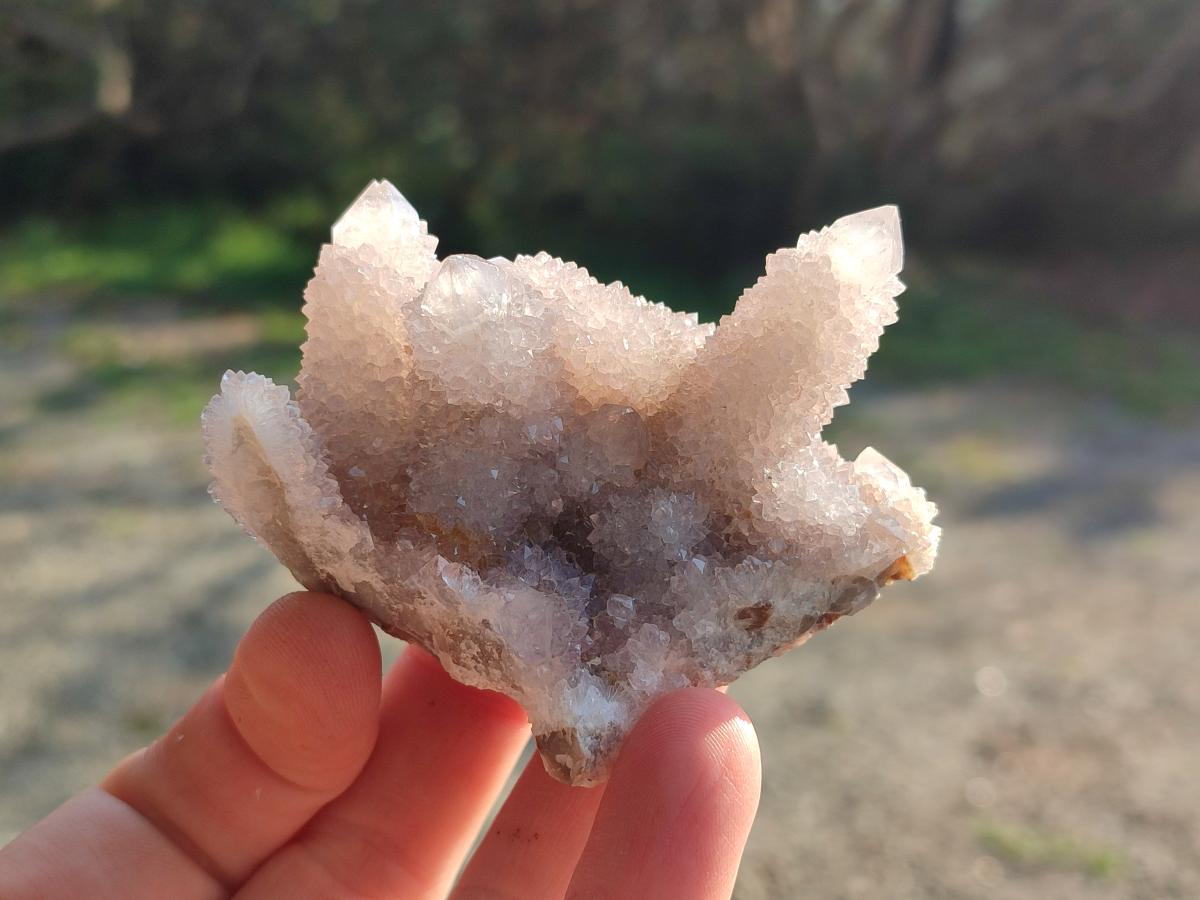 Natural Drusy Fairy Spirit Quartz Clusters x 12 From Boekenhouthoek, South Africa - Toprock Gemstones and Minerals 