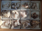 Natural Drusy Fairy Spirit Quartz Clusters x 12 From Boekenhouthoek, South Africa - Toprock Gemstones and Minerals 