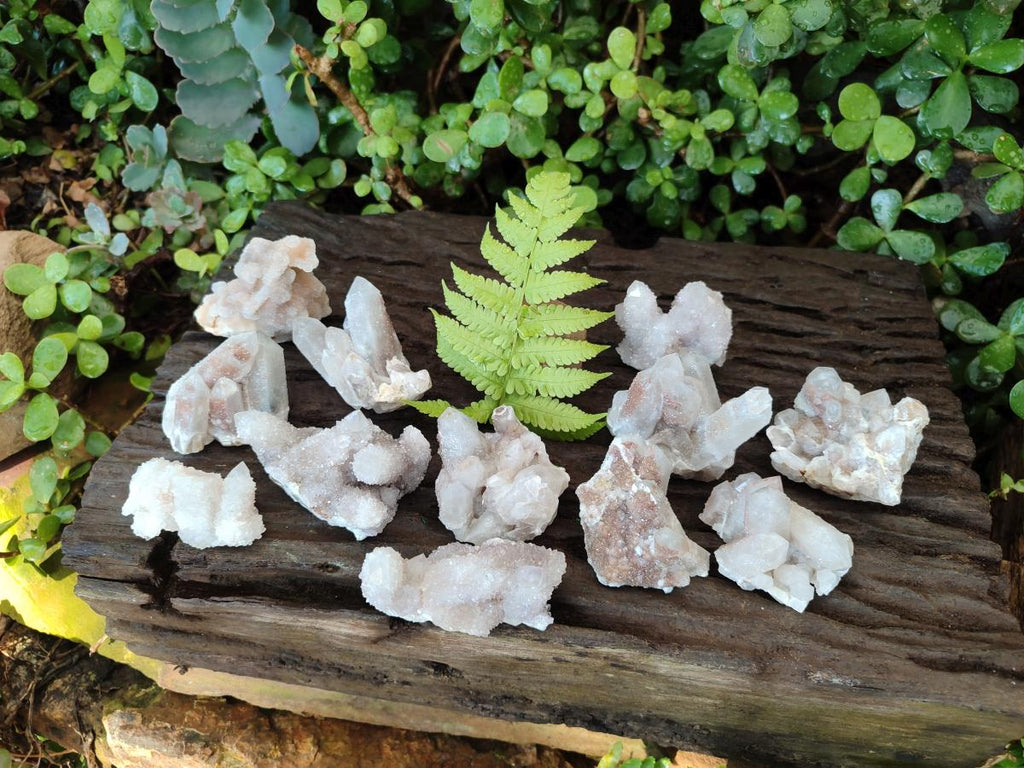 Natural Drusy Fairy Spirit Quartz Clusters x 12 From Boekenhouthoek, South Africa - Toprock Gemstones and Minerals 