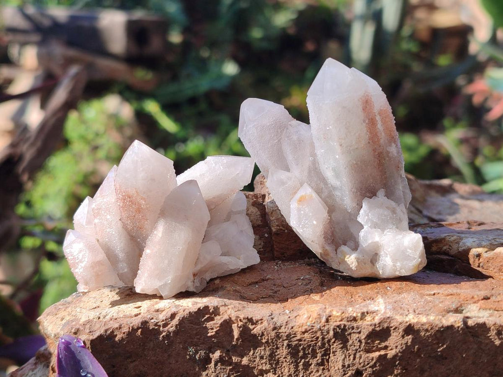 Natural Drusy Fairy Spirit Quartz Clusters x 12 From Boekenhouthoek, South Africa - Toprock Gemstones and Minerals 