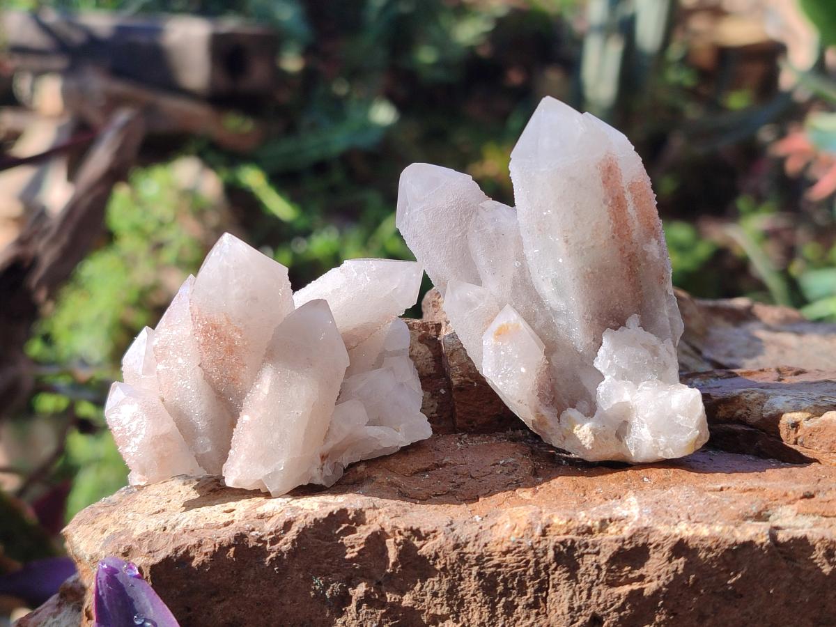 Natural Drusy Fairy Spirit Quartz Clusters x 12 From Boekenhouthoek, South Africa - Toprock Gemstones and Minerals 