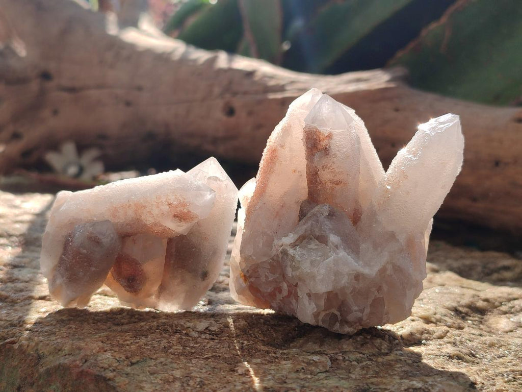 Natural Drusy Fairy Spirit Quartz Clusters x 12 From Boekenhouthoek, South Africa - Toprock Gemstones and Minerals 