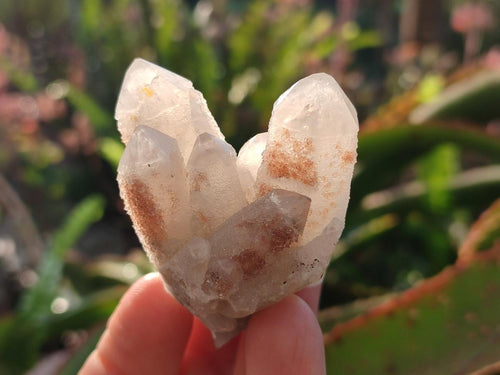 Natural Drusy Fairy Spirit Quartz Clusters x 12 From Boekenhouthoek, South Africa - Toprock Gemstones and Minerals 