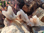 Natural Drusy Fairy Spirit Quartz Clusters x 12 From Boekenhouthoek, South Africa - Toprock Gemstones and Minerals 