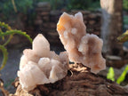 Natural Drusy Fairy Spirit Quartz Clusters x 12 From Boekenhouthoek, South Africa - Toprock Gemstones and Minerals 