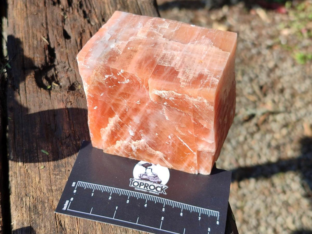 Natural Rhombohedral Sunset Deep Orange Calcite Specimens x 12 From Spitzkop, Namibia - Toprock Gemstones and Minerals 