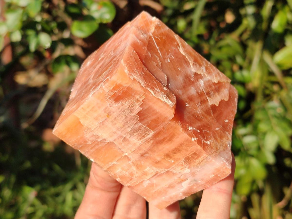 Natural Rhombohedral Sunset Deep Orange Calcite Specimens x 12 From Spitzkop, Namibia - Toprock Gemstones and Minerals 