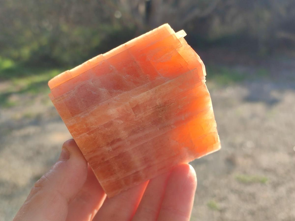 Natural Rhombohedral Sunset Deep Orange Calcite Specimens x 12 From Spitzkop, Namibia - Toprock Gemstones and Minerals 