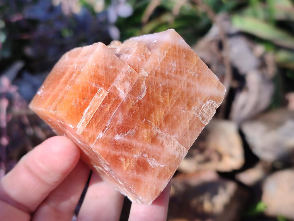 Natural Rhombohedral Sunset Deep Orange Calcite Specimens x 12 From Spitzkop, Namibia - Toprock Gemstones and Minerals 