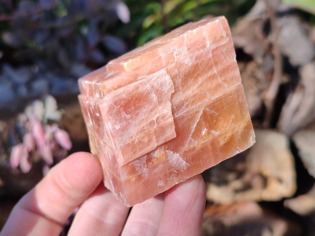 Natural Rhombohedral Sunset Deep Orange Calcite Specimens x 12 From Spitzkop, Namibia - Toprock Gemstones and Minerals 