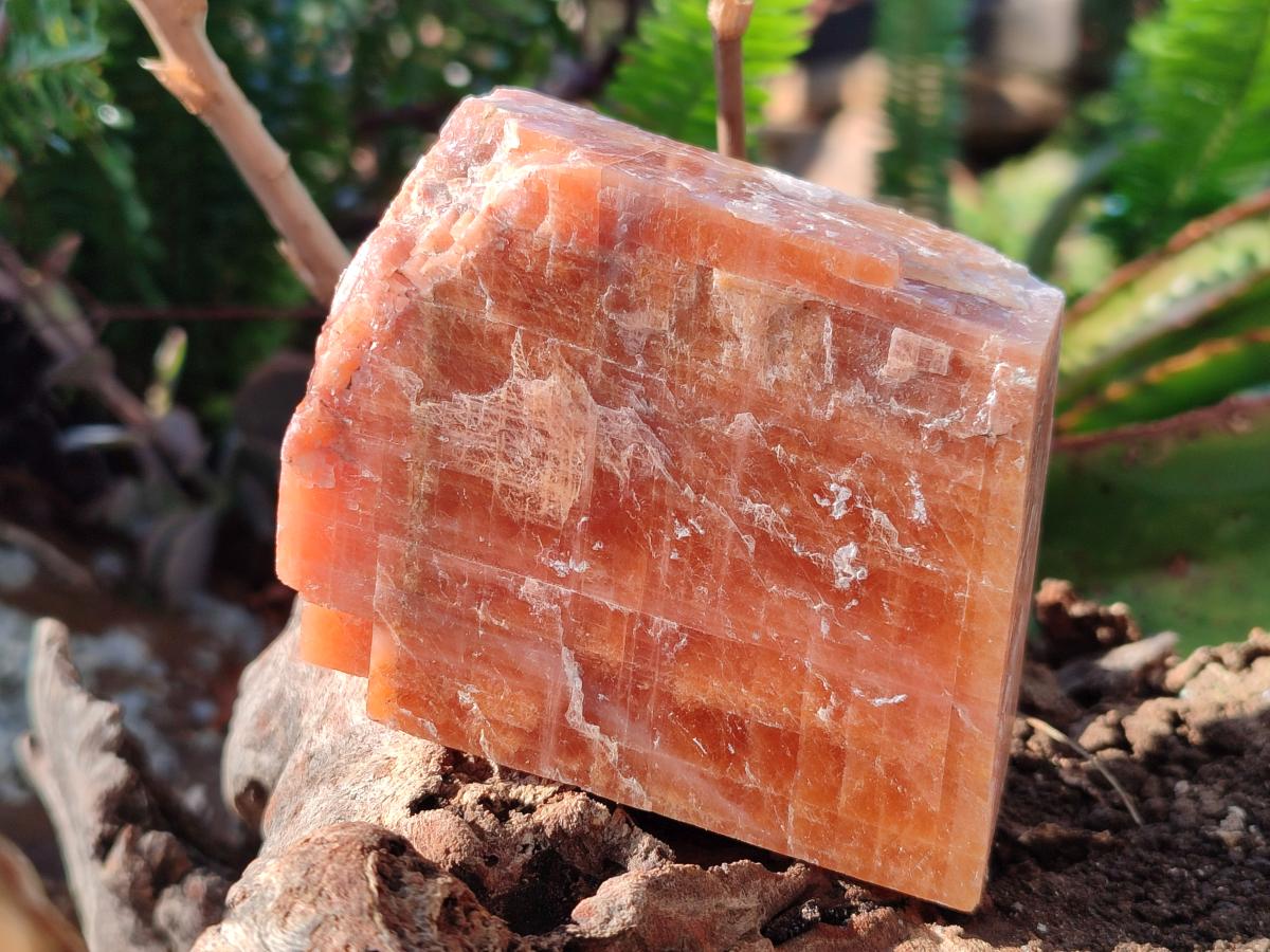 Natural Rhombohedral Sunset Deep Orange Calcite Specimens x 12 From Spitzkop, Namibia - Toprock Gemstones and Minerals 