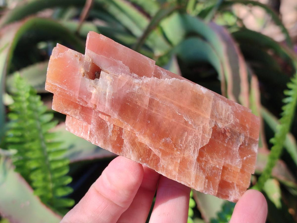 Natural Rhombohedral Sunset Deep Orange Calcite Specimens x 12 From Spitzkop, Namibia - Toprock Gemstones and Minerals 