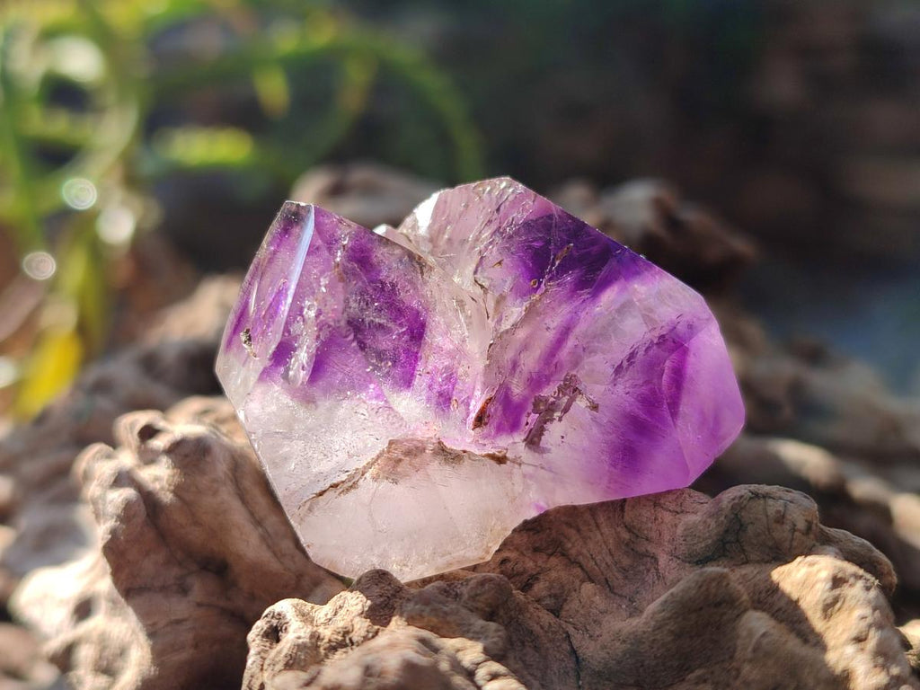Polished Dark Purple Window Amethyst Crystals x 35 From Akansobe, Madagascar - Toprock Gemstones and Minerals 
