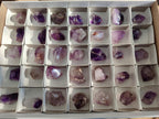 Polished Dark Purple Window Amethyst Crystals x 35 From Akansobe, Madagascar - Toprock Gemstones and Minerals 