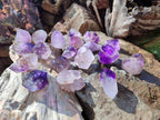 Polished Dark Purple Window Amethyst Crystals x 35 From Akansobe, Madagascar - Toprock Gemstones and Minerals 