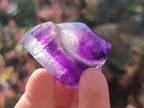Polished Dark Purple Window Amethyst Crystals x 35 From Akansobe, Madagascar - Toprock Gemstones and Minerals 