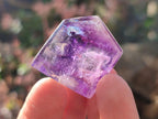 Polished Dark Purple Window Amethyst Crystals x 35 From Akansobe, Madagascar - Toprock Gemstones and Minerals 