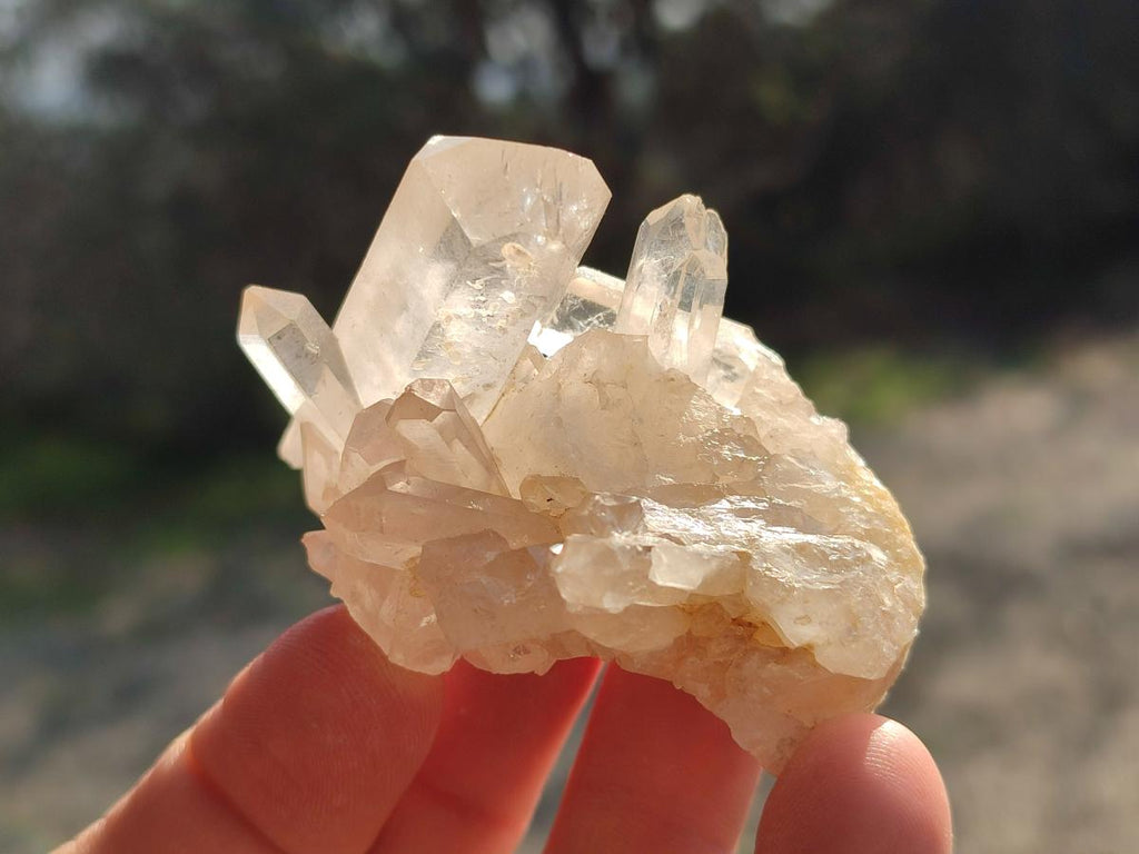Natural Malagasy Quartz Clusters x 35 From Madagascar - Toprock Gemstones and Minerals 