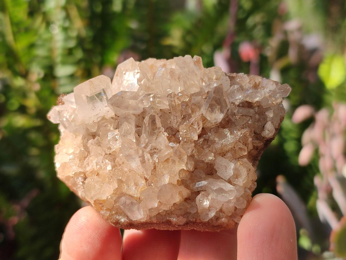 Natural Malagasy Quartz Clusters x 35 From Madagascar - Toprock Gemstones and Minerals 