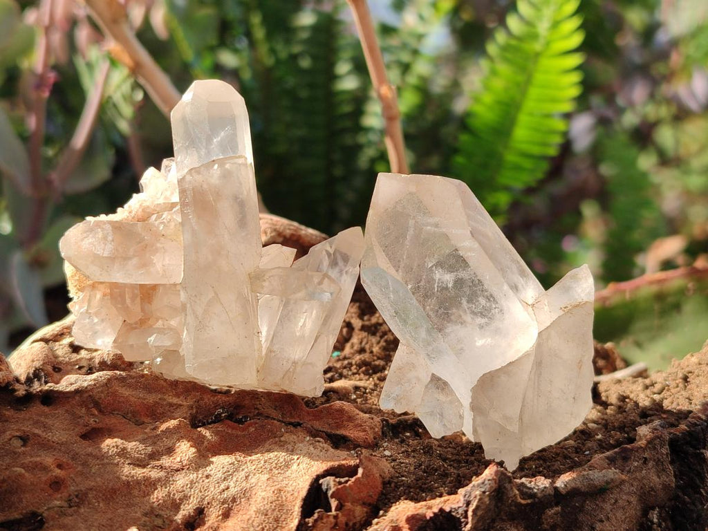 Natural Malagasy Quartz Clusters x 35 From Madagascar - Toprock Gemstones and Minerals 