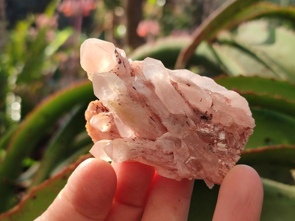 Natural Malagasy Quartz Clusters x 35 From Madagascar - Toprock Gemstones and Minerals 