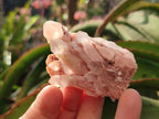 Natural Malagasy Quartz Clusters x 35 From Madagascar - Toprock Gemstones and Minerals 
