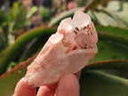 Natural Malagasy Quartz Clusters x 35 From Madagascar - Toprock Gemstones and Minerals 