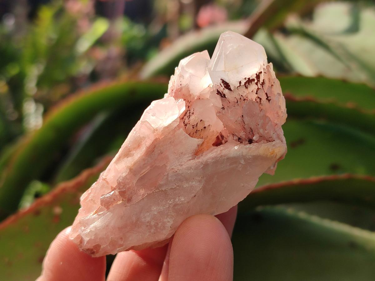 Natural Malagasy Quartz Clusters x 35 From Madagascar - Toprock Gemstones and Minerals 
