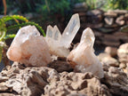 Natural Malagasy Quartz Clusters x 35 From Madagascar - Toprock Gemstones and Minerals 