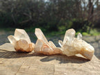 Natural Malagasy Quartz Clusters x 35 From Madagascar - Toprock Gemstones and Minerals 
