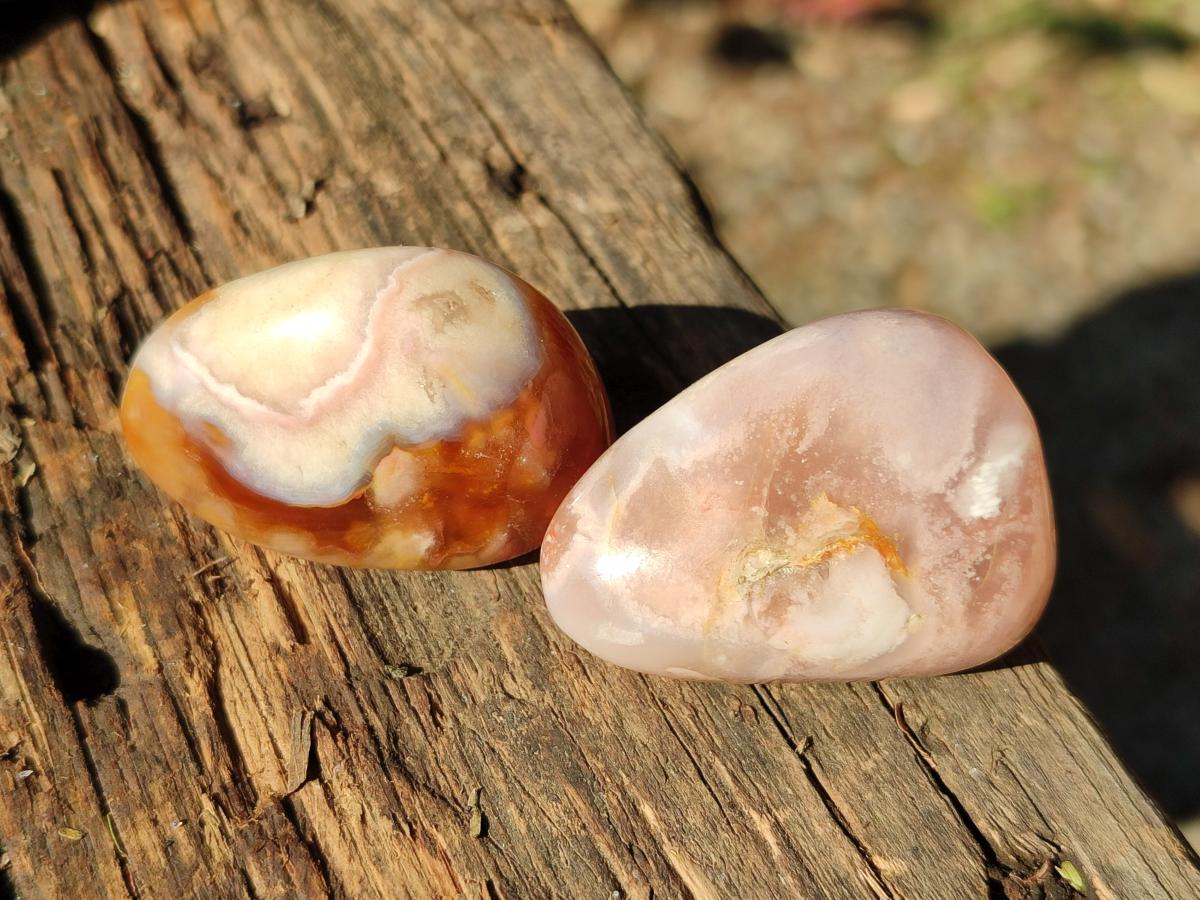 Polished Mini Flower Agate Free Forms x 35 From Antsahalova, Madagascar - Toprock Gemstones and Minerals 