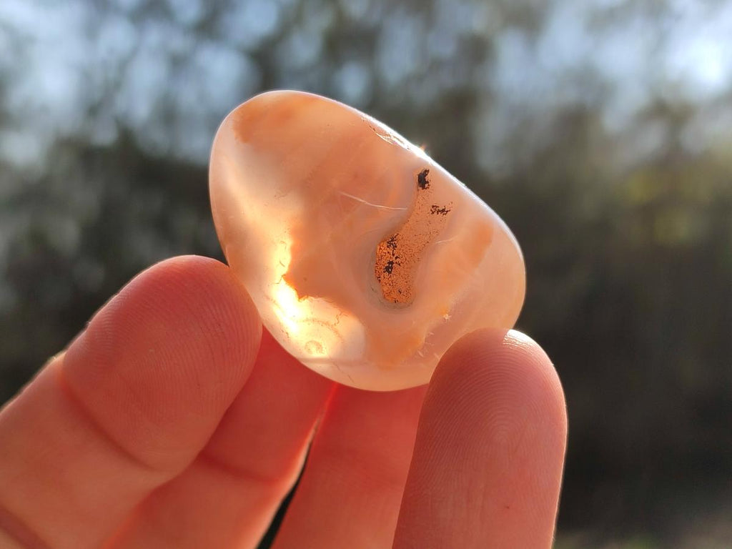 Polished Mini Flower Agate Free Forms x 35 From Antsahalova, Madagascar - Toprock Gemstones and Minerals 