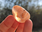 Polished Mini Flower Agate Free Forms x 35 From Antsahalova, Madagascar - Toprock Gemstones and Minerals 