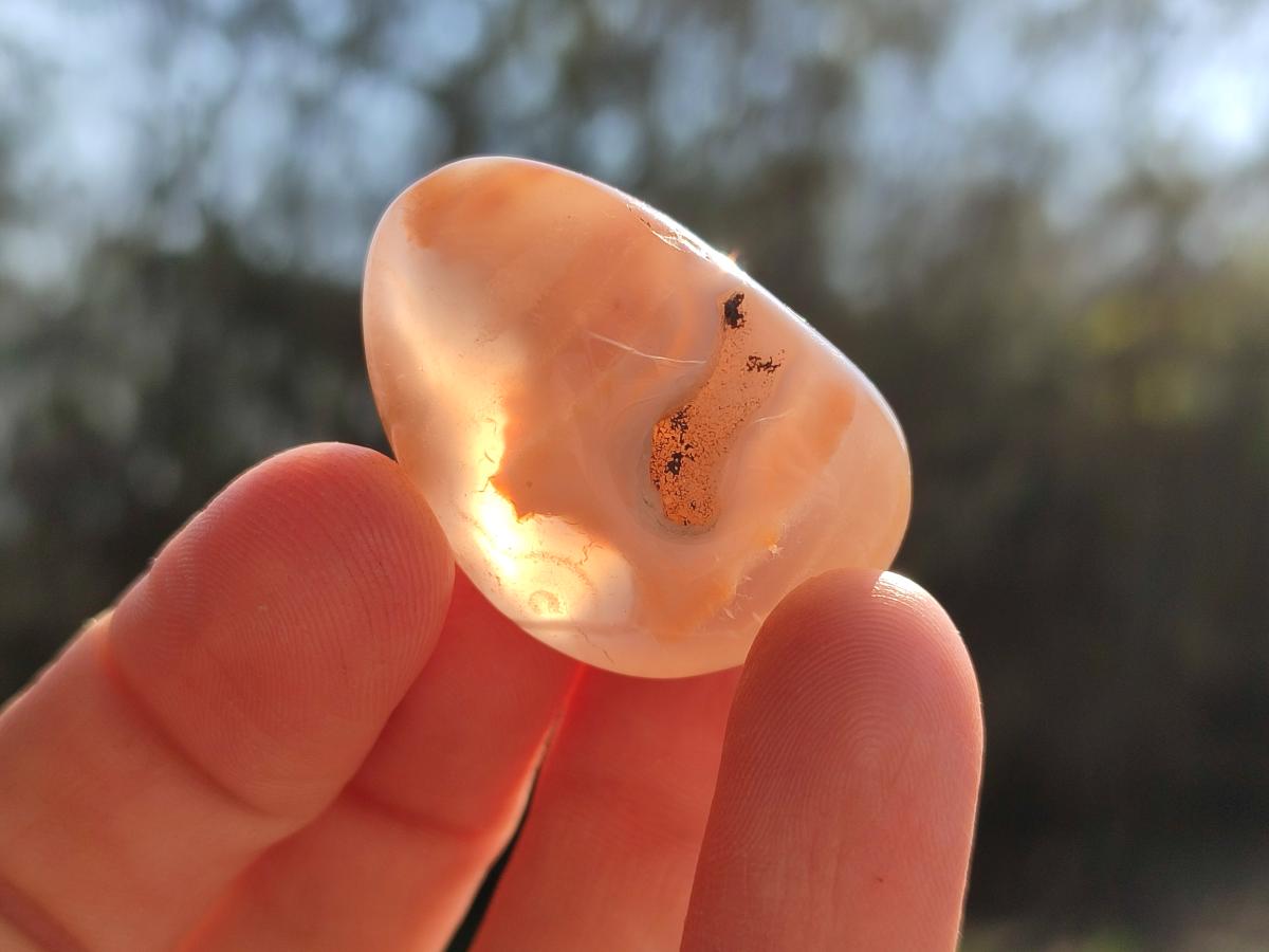 Polished Mini Flower Agate Free Forms x 35 From Antsahalova, Madagascar - Toprock Gemstones and Minerals 