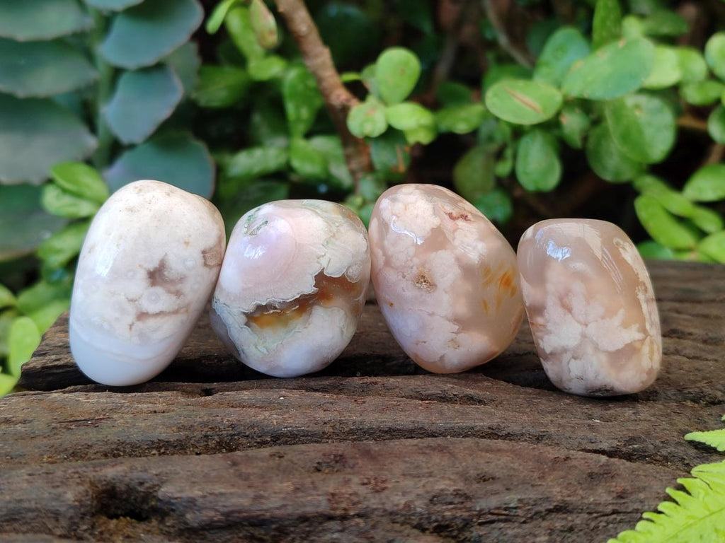 Polished Mini Flower Agate Free Forms x 35 From Antsahalova, Madagascar - Toprock Gemstones and Minerals 