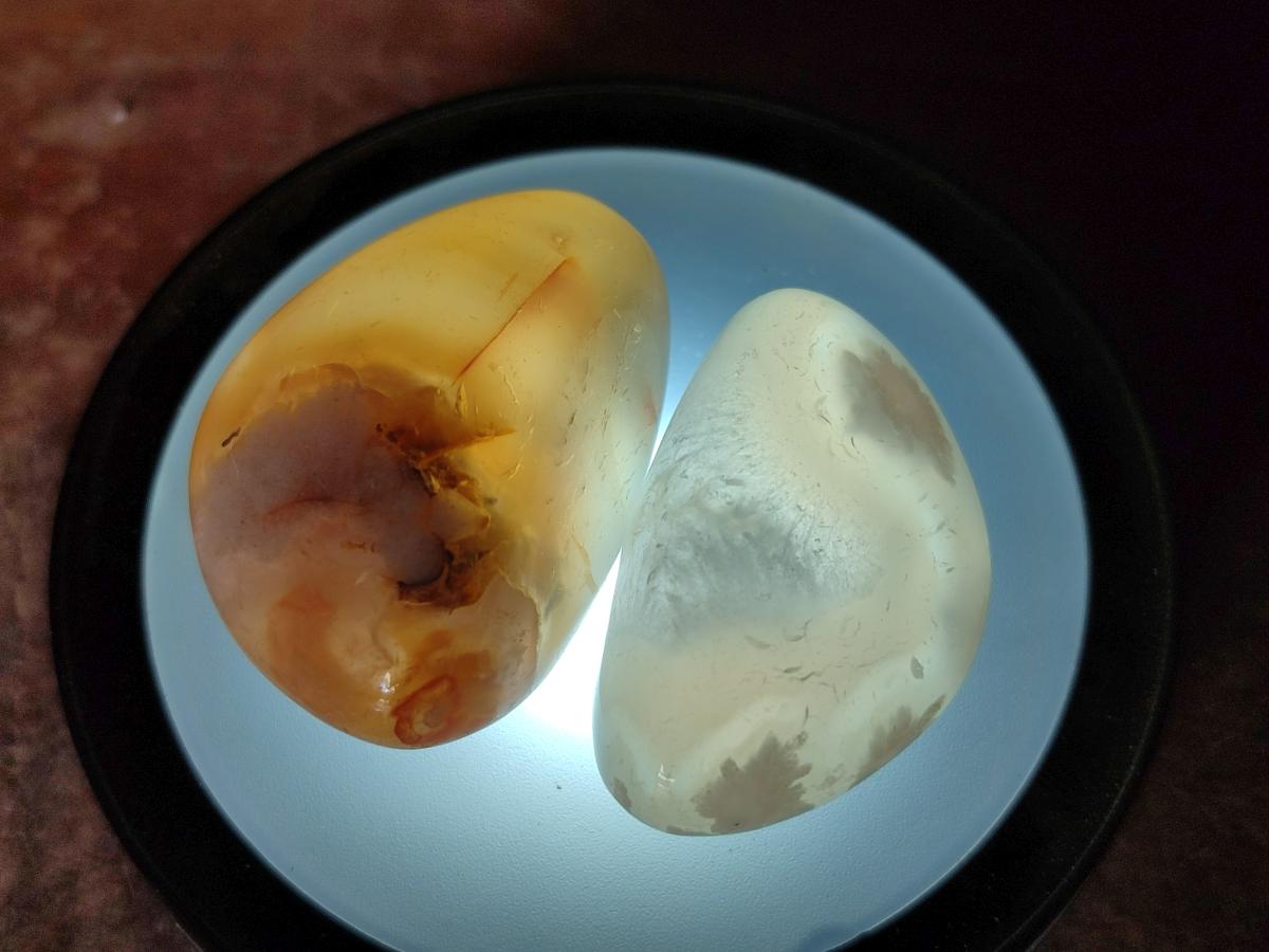 Polished Mini Flower Agate Free Forms x 35 From Antsahalova, Madagascar - Toprock Gemstones and Minerals 