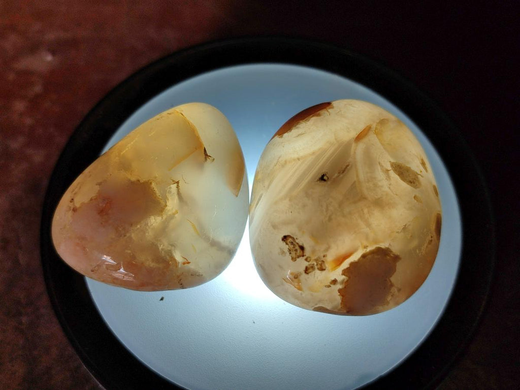 Polished Mini Flower Agate Free Forms x 35 From Antsahalova, Madagascar - Toprock Gemstones and Minerals 