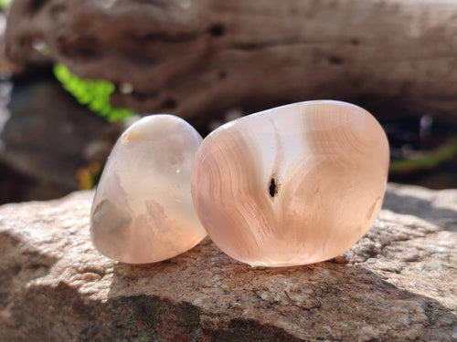 Polished Mini Flower Agate Free Forms x 35 From Antsahalova, Madagascar - Toprock Gemstones and Minerals 