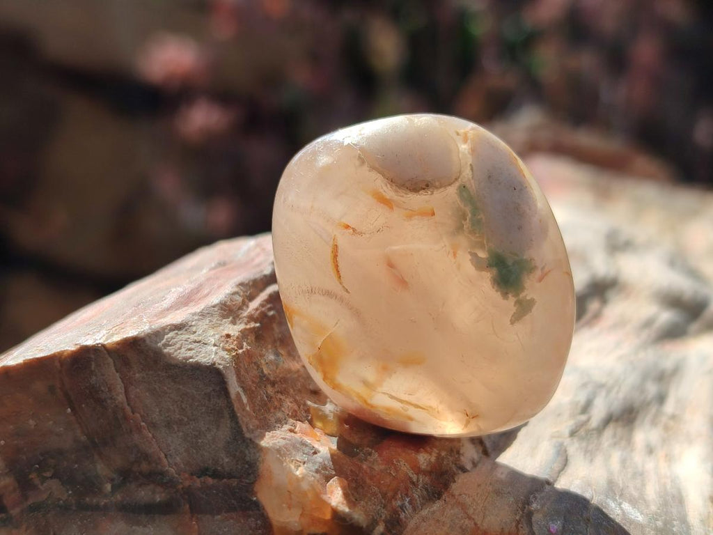 Polished Mini Flower Agate Free Forms x 35 From Antsahalova, Madagascar - Toprock Gemstones and Minerals 