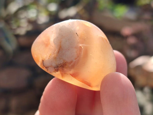 Polished Mini Flower Agate Free Forms x 35 From Antsahalova, Madagascar - Toprock Gemstones and Minerals 